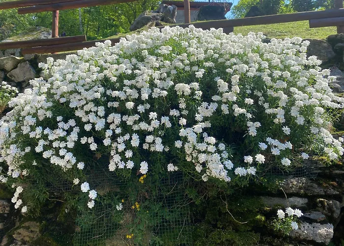 아파트 Casa La Terrazza 발브로나