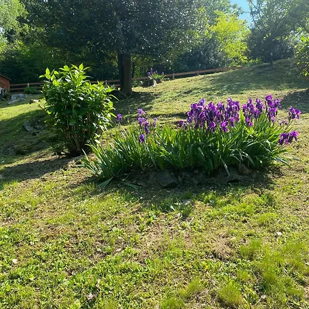 Apartamento Casa La Terrazza