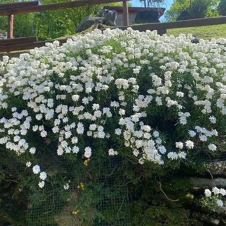 Appartement Casa La Terrazza Valbrona